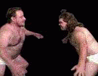 animationwres.gif, 33 KB